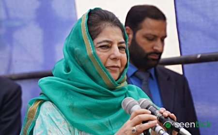 Protest by medical interns continues in Kashmir, Mehbooba says ‘deeply painful’