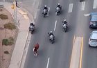 Runaway horse captured by police on motorbikes