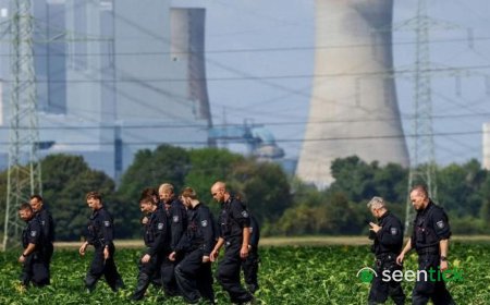 Sabotage suspect held in Germany after spate of attacks on power grid