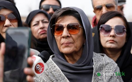 Sister of Pakistan's ex-PM Imran Khan arrested