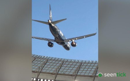 South African airline behind daring  stadium stunt cancels next flyby, regulator says