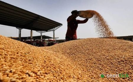 Subsidised rice meant for labourers sold to traders: CBI probes Rs 28-crore ‘scam’