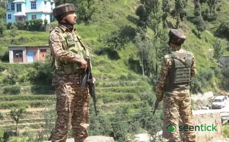 Terrorist neutralised in encounter with security forces in Yousmarg