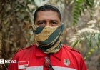 Borneo\'s Carbon Bomb: Indonesia\'s Deadly Peatland Fires Explained