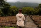 This IITian quit a high-paying job to become an actor, left Mumbai after failure, now stars in a  ₹270 cr hit
