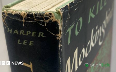 To Kill A Mockingbird first edition found in London charity shop