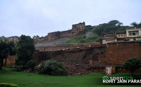 Tour guide stabbed to death near Jaipur’s Amer Fort