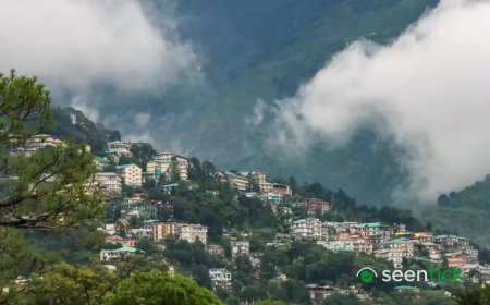 Urban travellers prefer hotels, rural dharamshalas