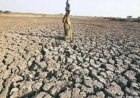 ‘Very’ strong El Nino emerging, to last till Feb 2027: WMO
