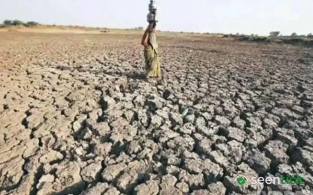 ‘Very’ strong El Nino emerging, to last till Feb 2027: WMO