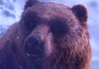 WoW: Forever beta gets another population cap increase as Blizzard struggles to fit fans in the MMO