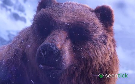 WoW: Forever beta gets another population cap increase as Blizzard struggles to fit fans in the MMO