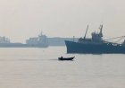 11 Indians injured after attack on ship near Oman, MEA condemns strike