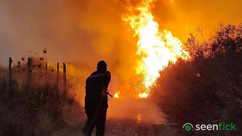 Algeria introduces death penalty for arsonists after deadly wildfires