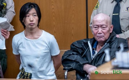 California pair charged with abusing at least 14 surrogate-born children