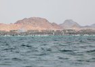 Children among 109 dead after boat capsizes off Djibouti, UN says