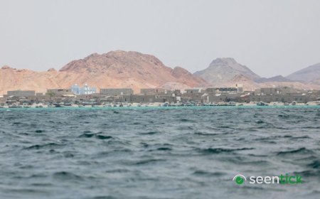 Children among 109 dead after boat capsizes off Djibouti, UN says
