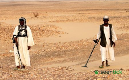 Dozens of gold prospectors killed in strikes on Egypt-Sudan border, rights group says