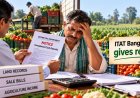 Farmer Wins ITAT Case, Cash Deposits Ruled as Agricultural Income