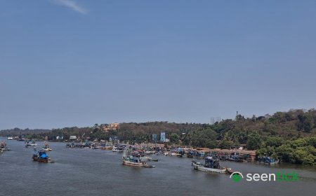 Goa's Mandovi River Found to Have High Faecal Coliform Levels Beyond Permissible Limit