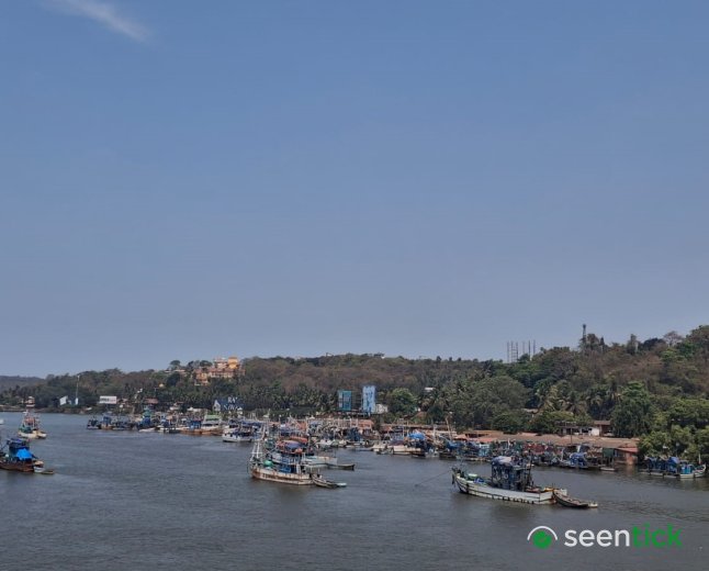 Goa's Mandovi River Found to Have High Faecal Coliform Levels Beyond Permissible Limit