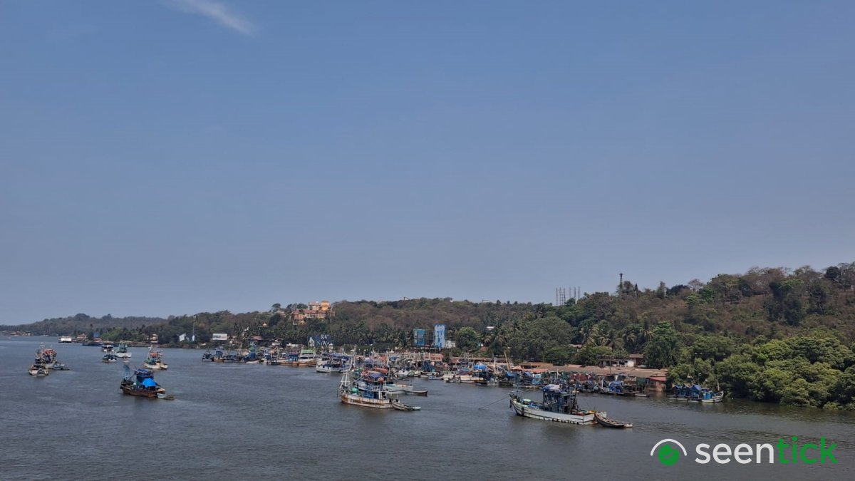 Goa's Mandovi River Found to Have High Faecal Coliform Levels Beyond Permissible Limit