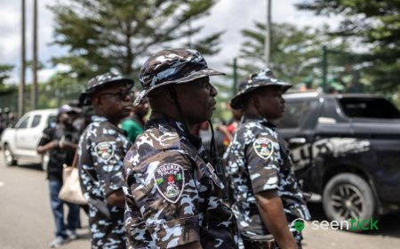 Gunmen kill at least 10 villagers in northeast Nigeria