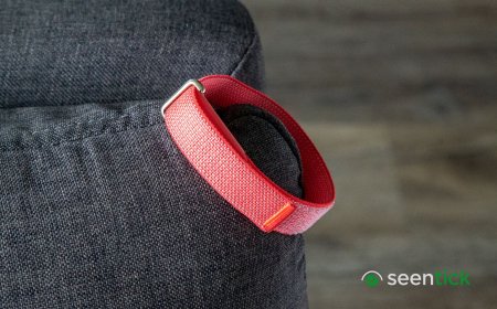 I love the Fitbit Air, but Google's leaked Fitbit Edge might be even better