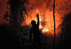 Indonesian President Prabowo Subianto Vows to Crack Down on Companies Causing Toxic Haze