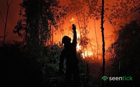 Indonesian President Prabowo Subianto Vows to Crack Down on Companies Causing Toxic Haze