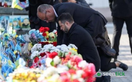 Kyiv bridge hit in further Russian drone attack as German chancellor makes surprise visit