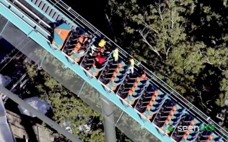 Man Dies After Falling from Six Flags Rollercoaster