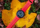 Old Pixel Watches will lose 'Safety Signal' support: here's what that means for impacted users