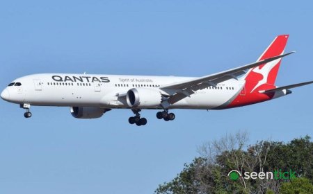 Qantas Grounds Boeing 787 Dreamliner Over Bedbug Outbreak