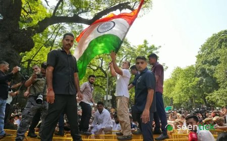 Rahul Gandhi's stand-on-barricade moment came with a Led Zeppelin track