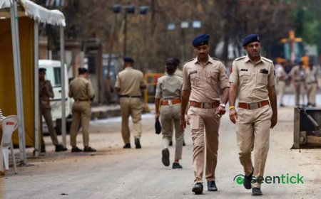 Rajasthan smuggler began new life in Madhya Pradesh as furniture trader. Then police closed in