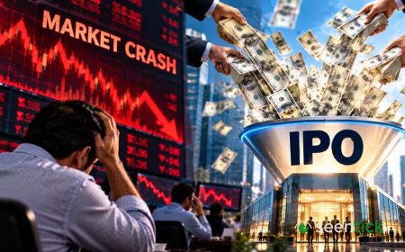 Stock market is crashing, yet IPOs attract billions: What's happening here?