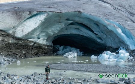 Swiss glaciers suffer 'disastrous' year of ice loss, threatening water supplies