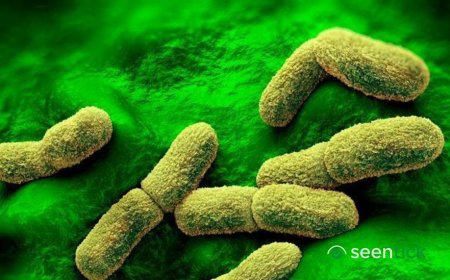 US 'watching closely' after plague researcher dies in Russia, Rubio says