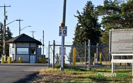 Canadian Forces Base Wainwright Fire: 4 Dead, Dozens Injured in Deadly Blaze