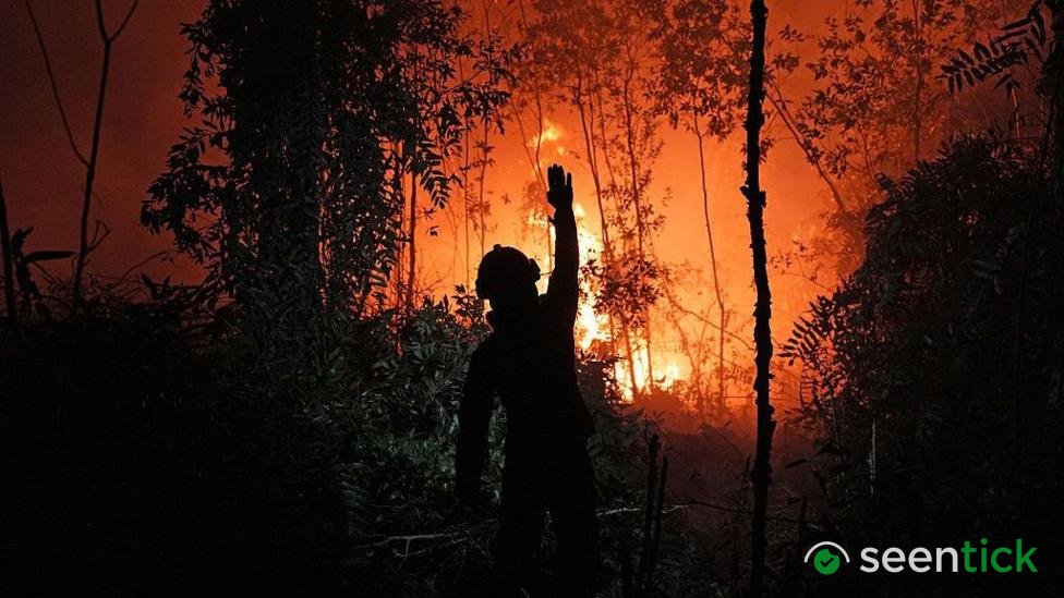Who's to blame for the toxic smog choking South East Asia?